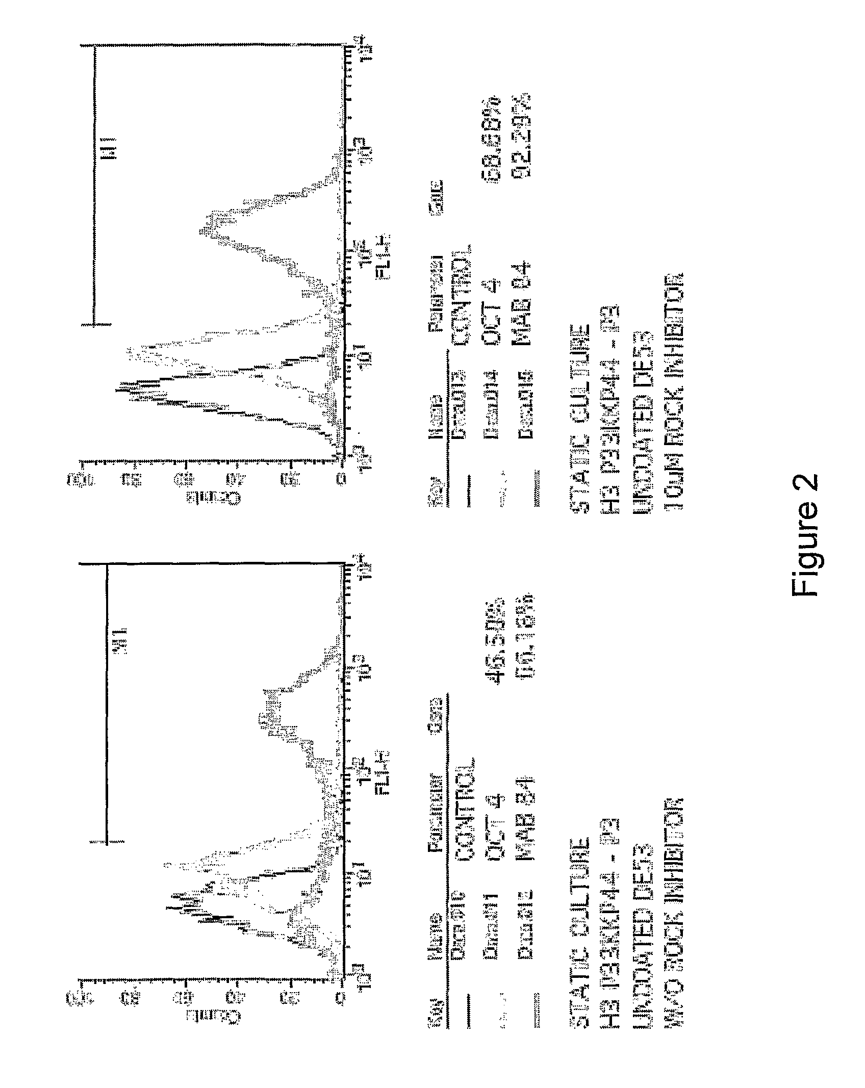 Culture of pluripotent and multipotent cells on microcarriers