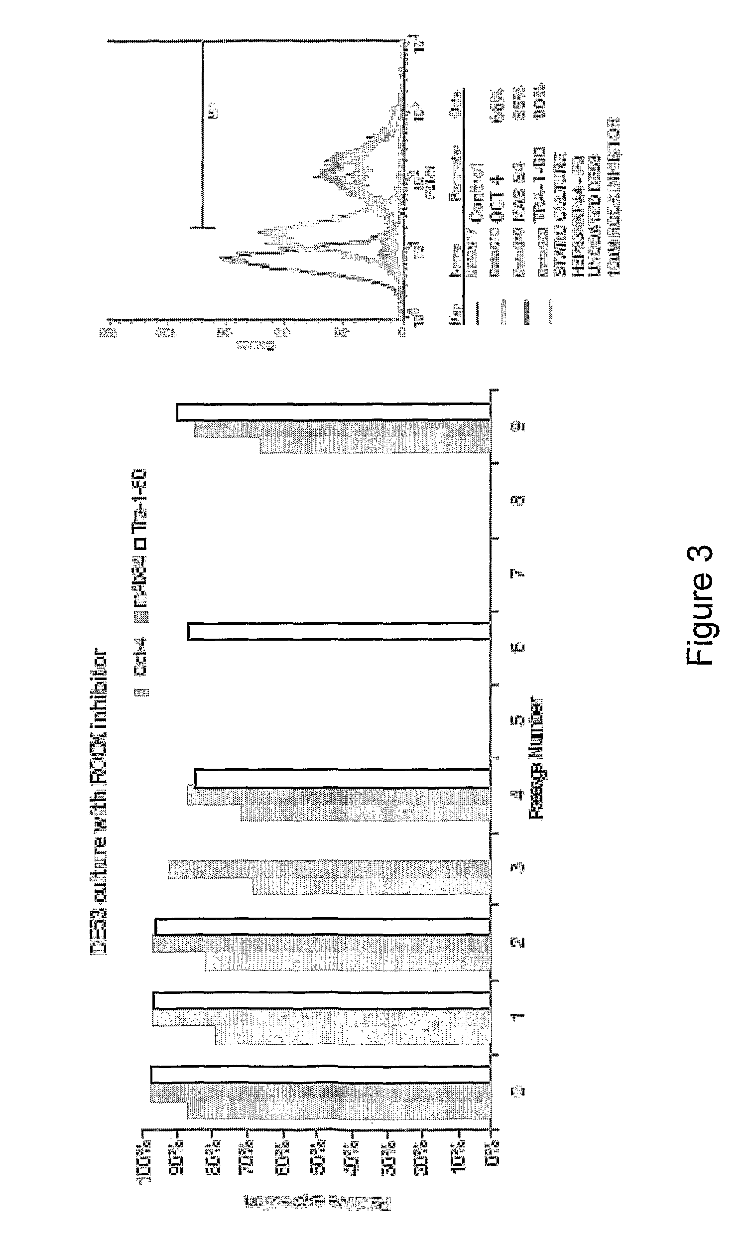 Culture of pluripotent and multipotent cells on microcarriers