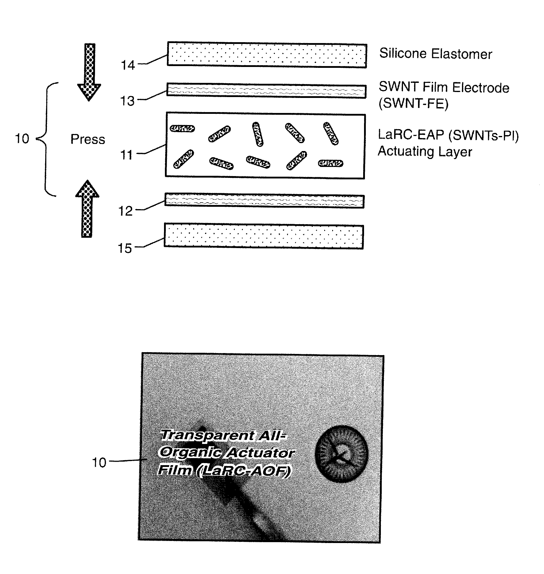 Nanotube Film Electrode and an Electroactive Device Fabricated with the Nanotube Film Electrode and Methods for Making Same