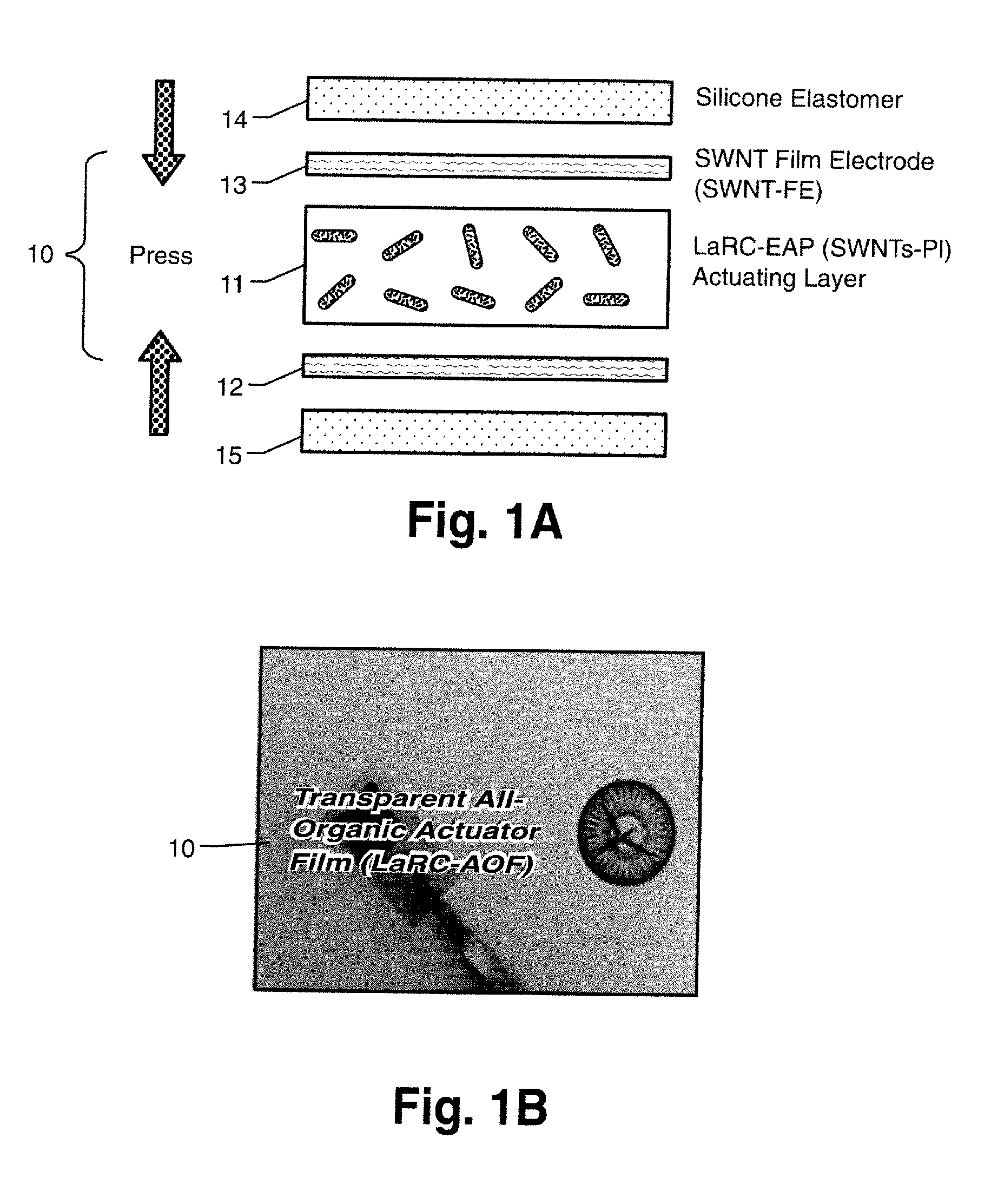 Nanotube Film Electrode and an Electroactive Device Fabricated with the Nanotube Film Electrode and Methods for Making Same