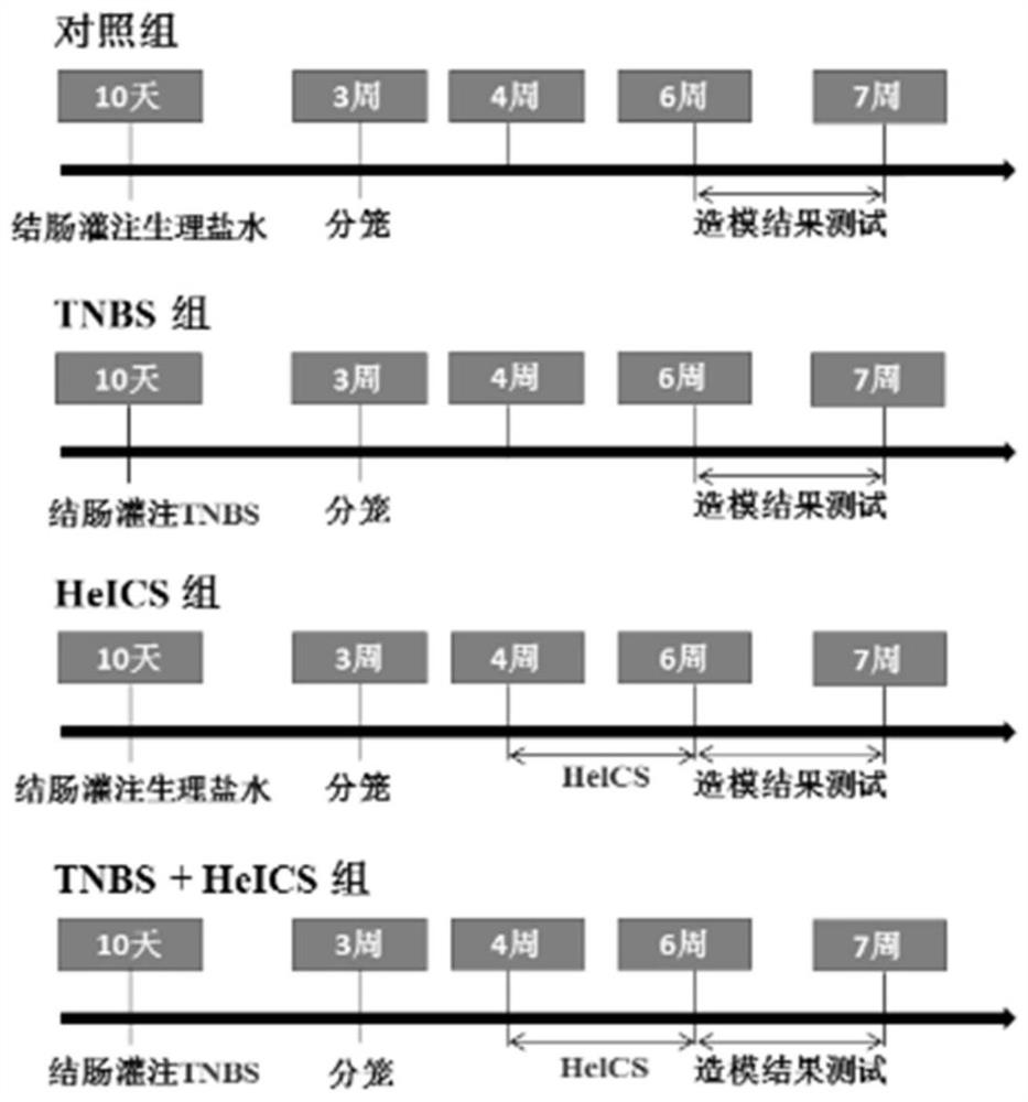 Application of Aconitine in the Preparation of Drugs for Treating Irritable Bowel Syndrome