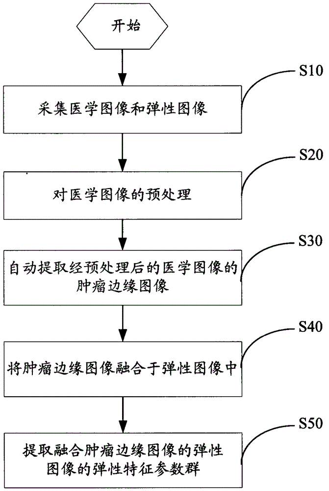 Extraction method of tumor elasticity features based on ultrasound elastography