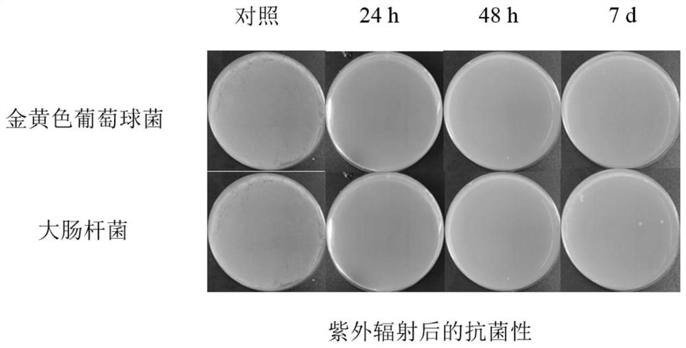 Elastic fiber as well as preparation method and application thereof