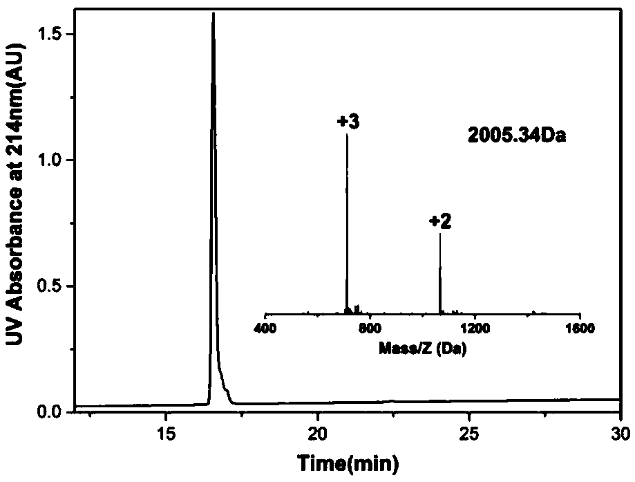 Antimicrobial peptide, preparation method of antimicrobial peptide, antimicrobial composition, antibacterial method and applications