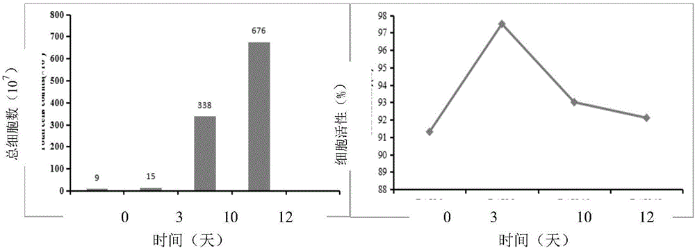Method of extracorporeal induction, proliferation and cryopreservation of immune cells