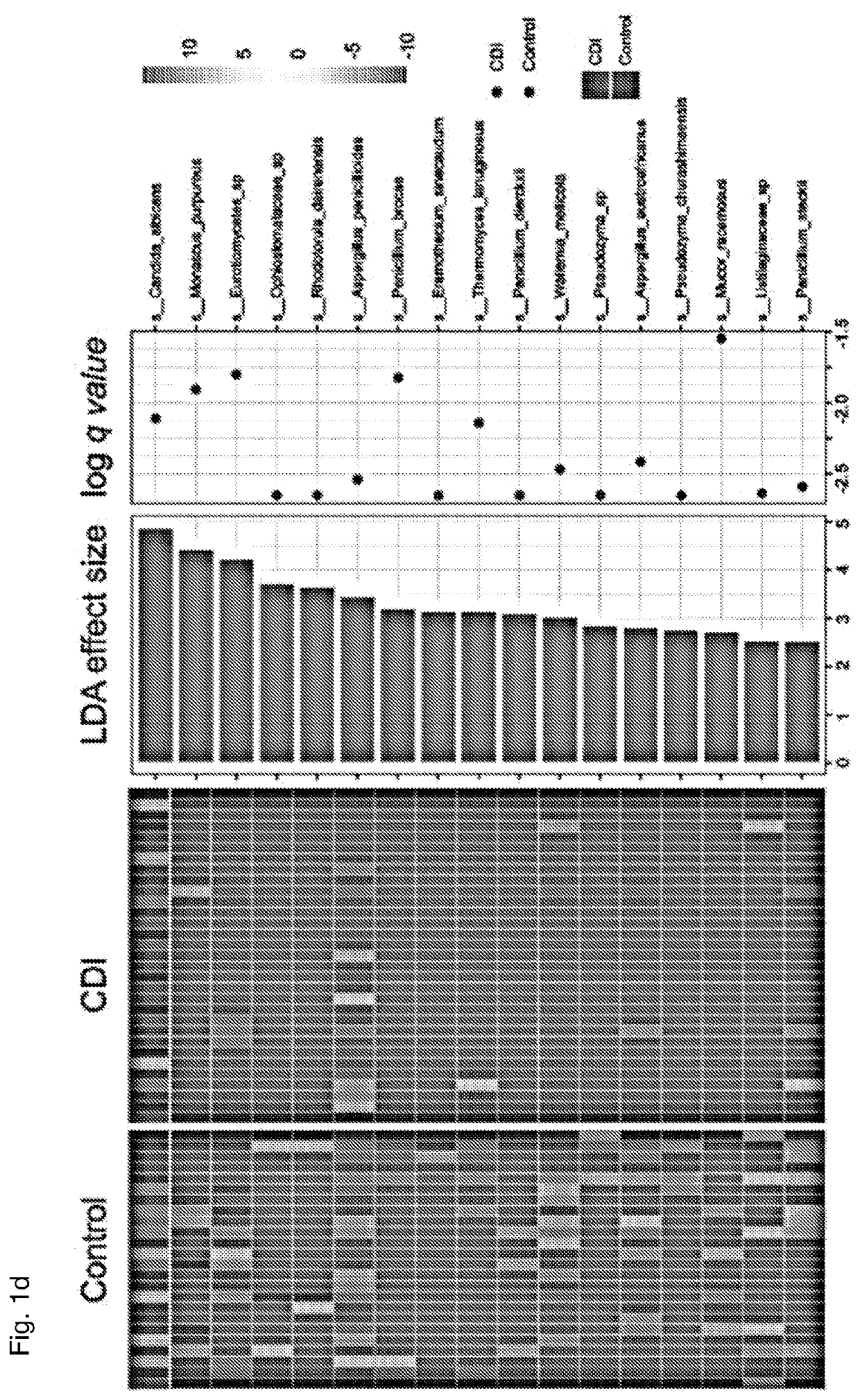 Fecal fungome and therapeutic efficacy of fecal microbiota transplantation