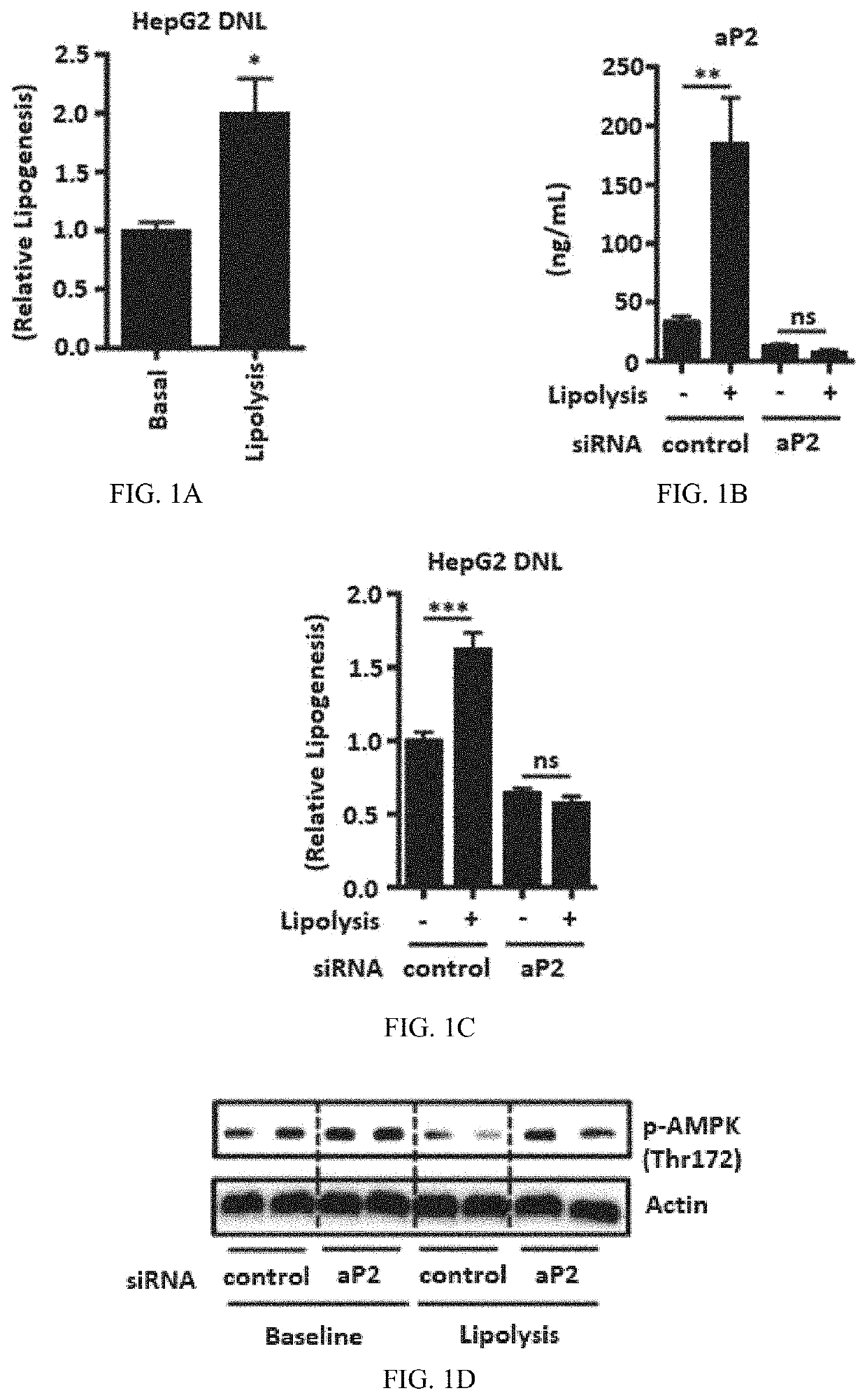 Method to identify compounds useful to treat dysregulated lipogenesis, diabetes, and related disorders