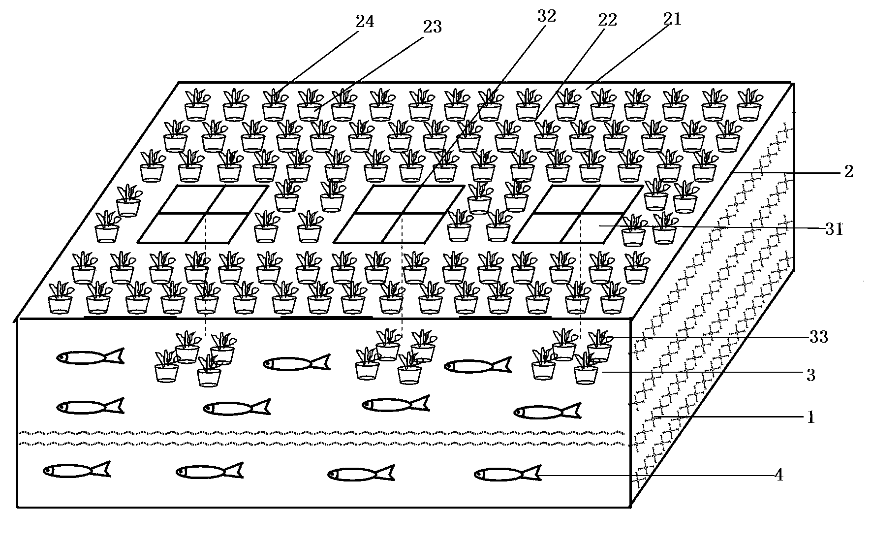 Water body purification system formed by stereoscopic configuration of aquatic animals and plants and purification method thereof