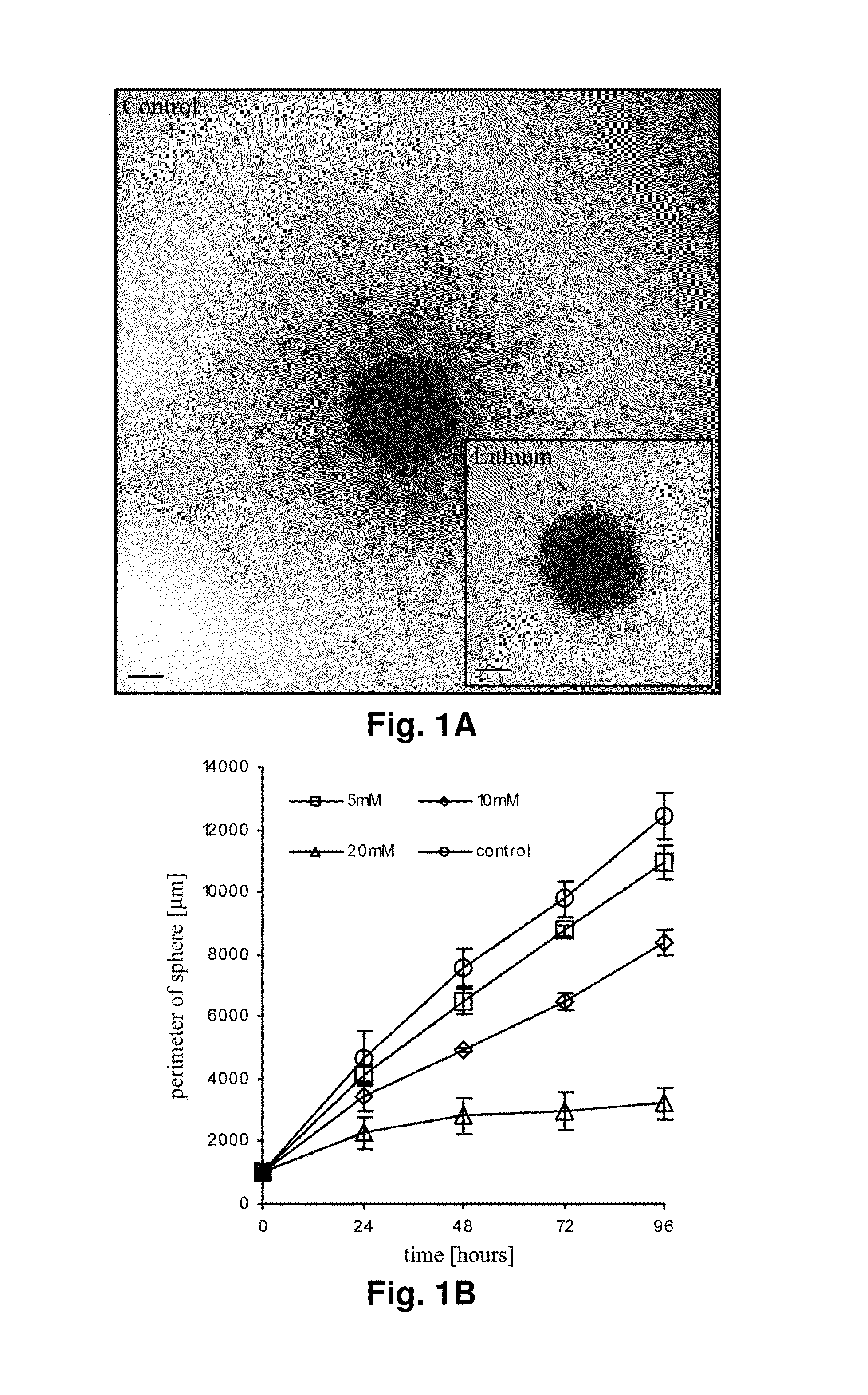 Methods and Compositions for Inhibiting GSK-3 In Glial Cell Related Disorders