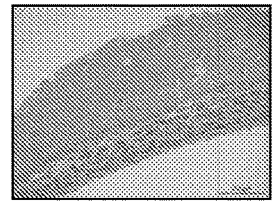 Improved Methods for Tissue Fabrication