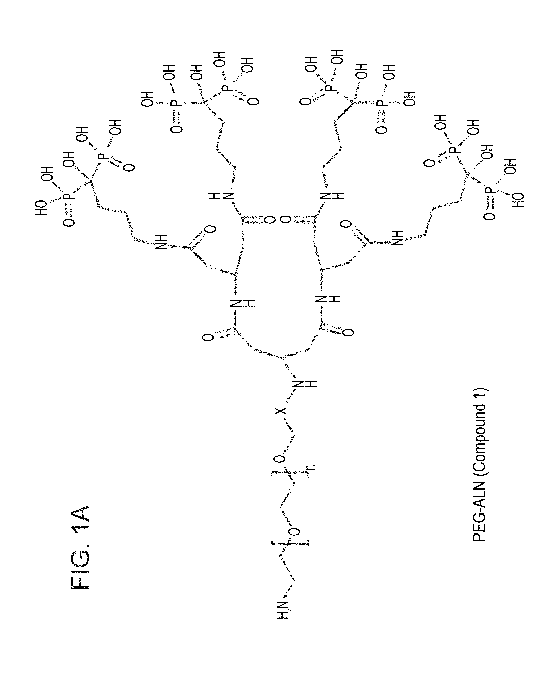 Targeted polymeric conjugates and uses thereof