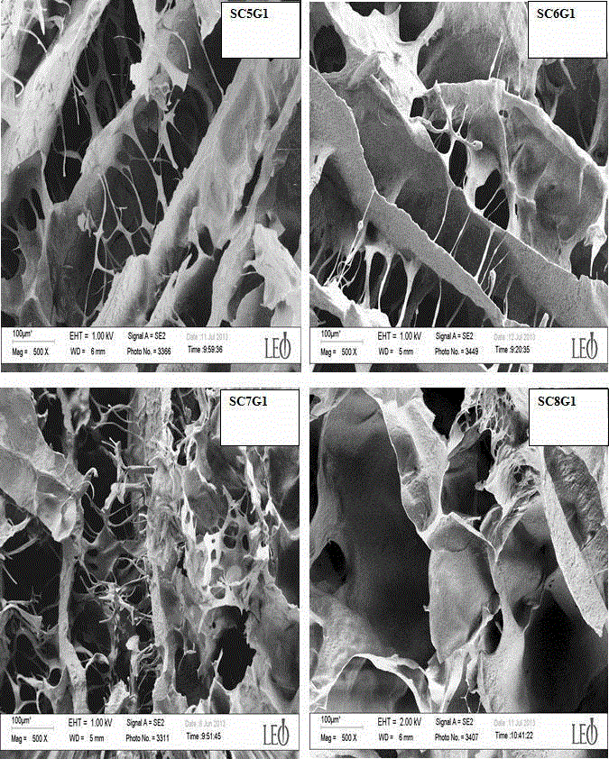A tissue engineering scaffold suitable for the construction of human organs and its preparation method