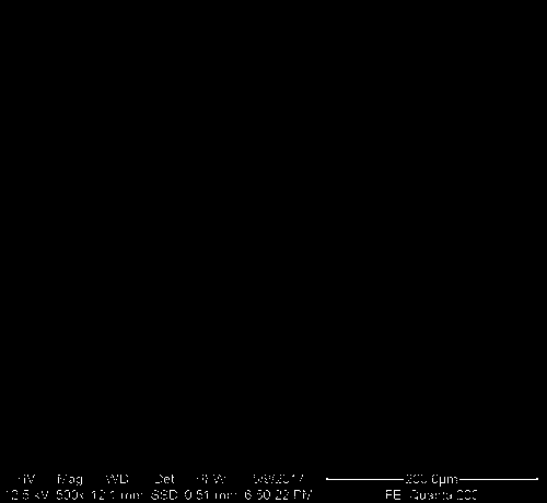 Preparation method of anti-microbial type medical porous Ti-Cu alloy having bioactivity