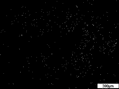 Preparation method of anti-microbial type medical porous Ti-Cu alloy having bioactivity