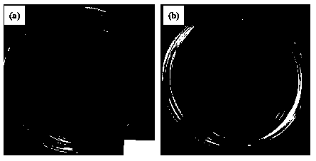 Preparation method of anti-microbial type medical porous Ti-Cu alloy having bioactivity