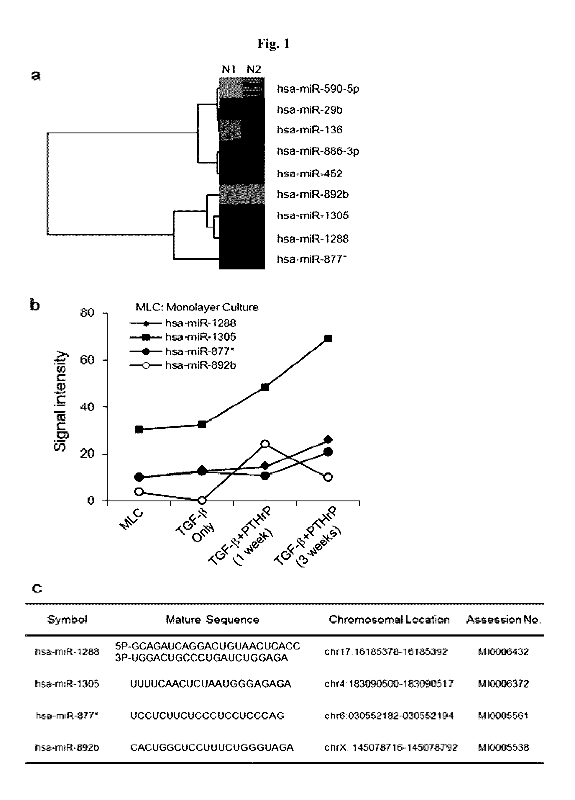 Composition for promoting chondrocyte differentiation or treating cartilage diseases, containing KLF10 expression inhibitor, and method for promoting cartilage differentiation by using same