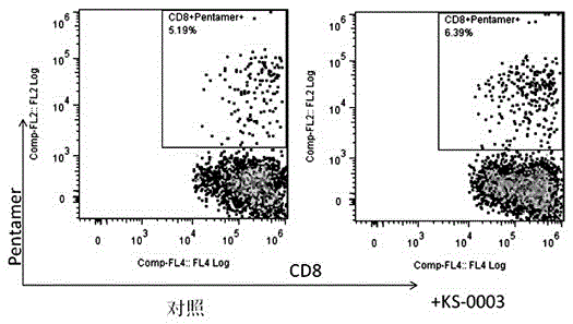 Preparation method and application of immunocytoma vaccine