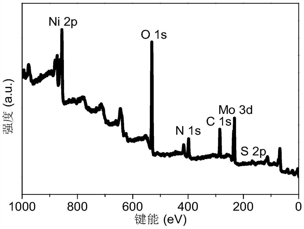 Molybdenum carbide/nickel foam composite material modified by molybdenum disulfide quantum dots and its preparation method and application in electrocatalytic oxygen evolution