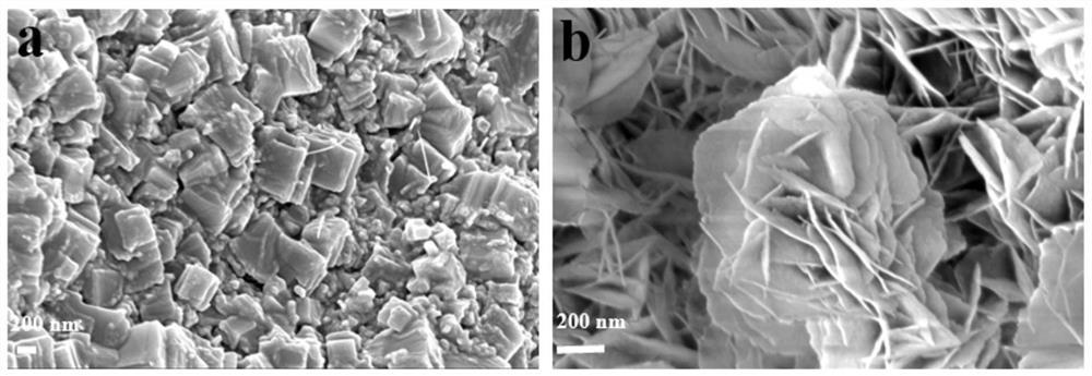 Molybdenum carbide/nickel foam composite material modified by molybdenum disulfide quantum dots and its preparation method and application in electrocatalytic oxygen evolution