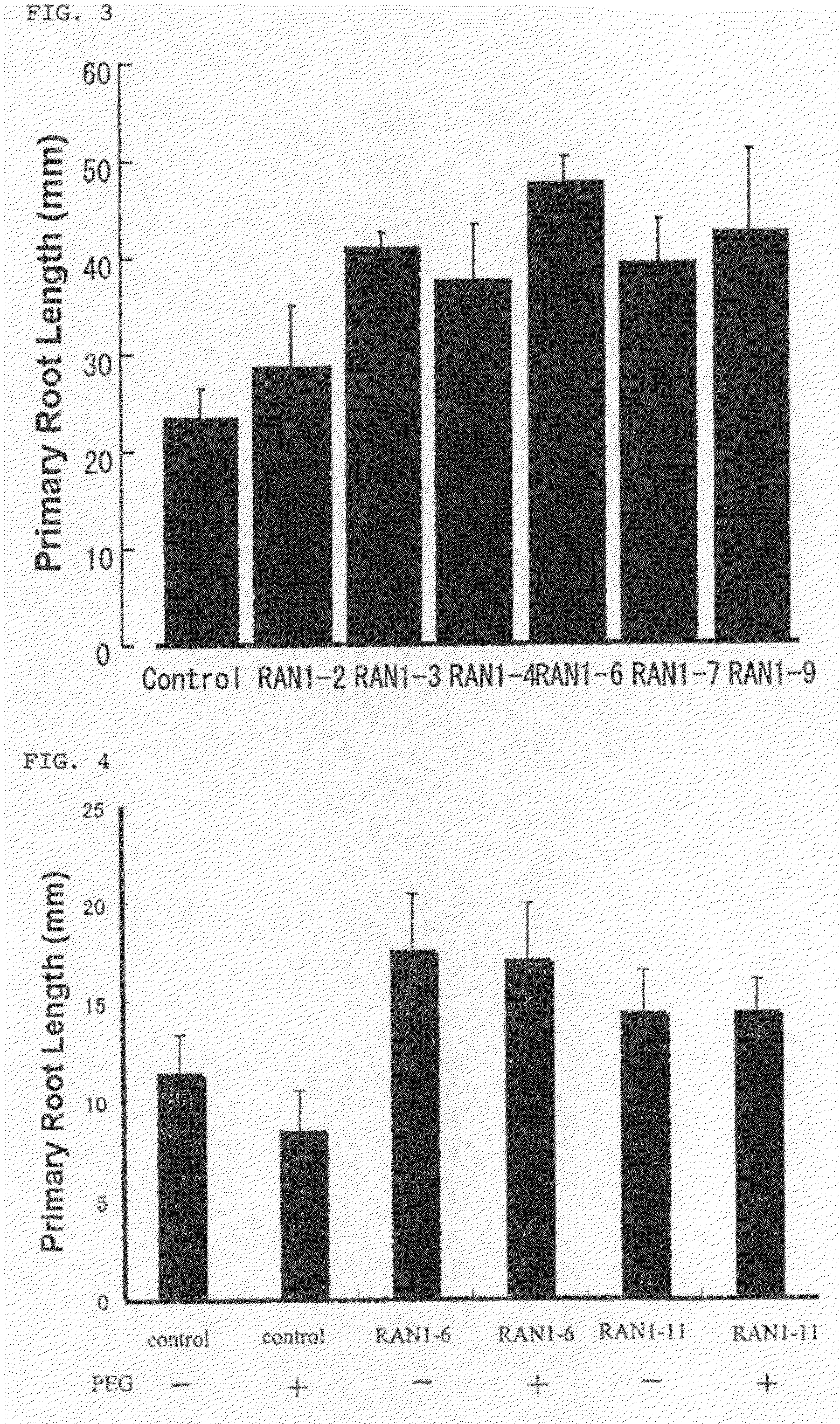 Plant having enhanced root elongation and method for production thereof