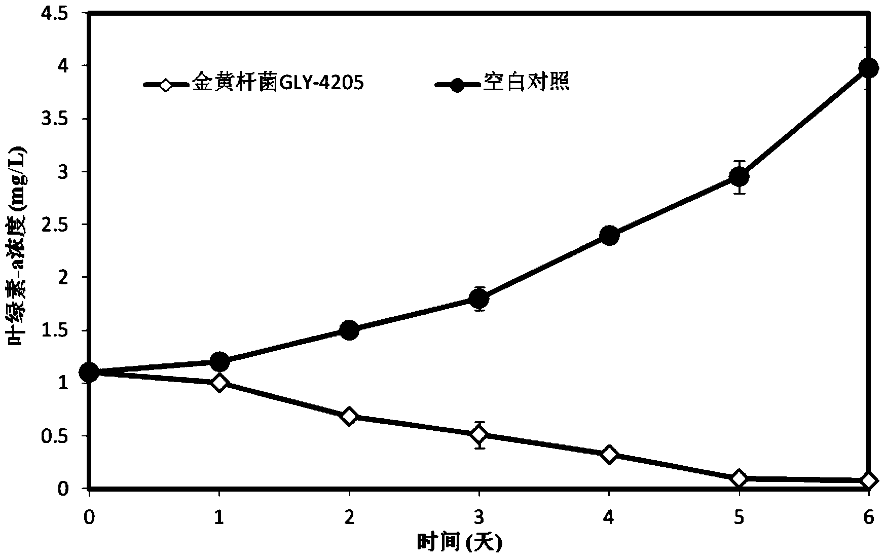 Algicidal Chryseobacterium sp. and its application in cyanobacterial bloom control