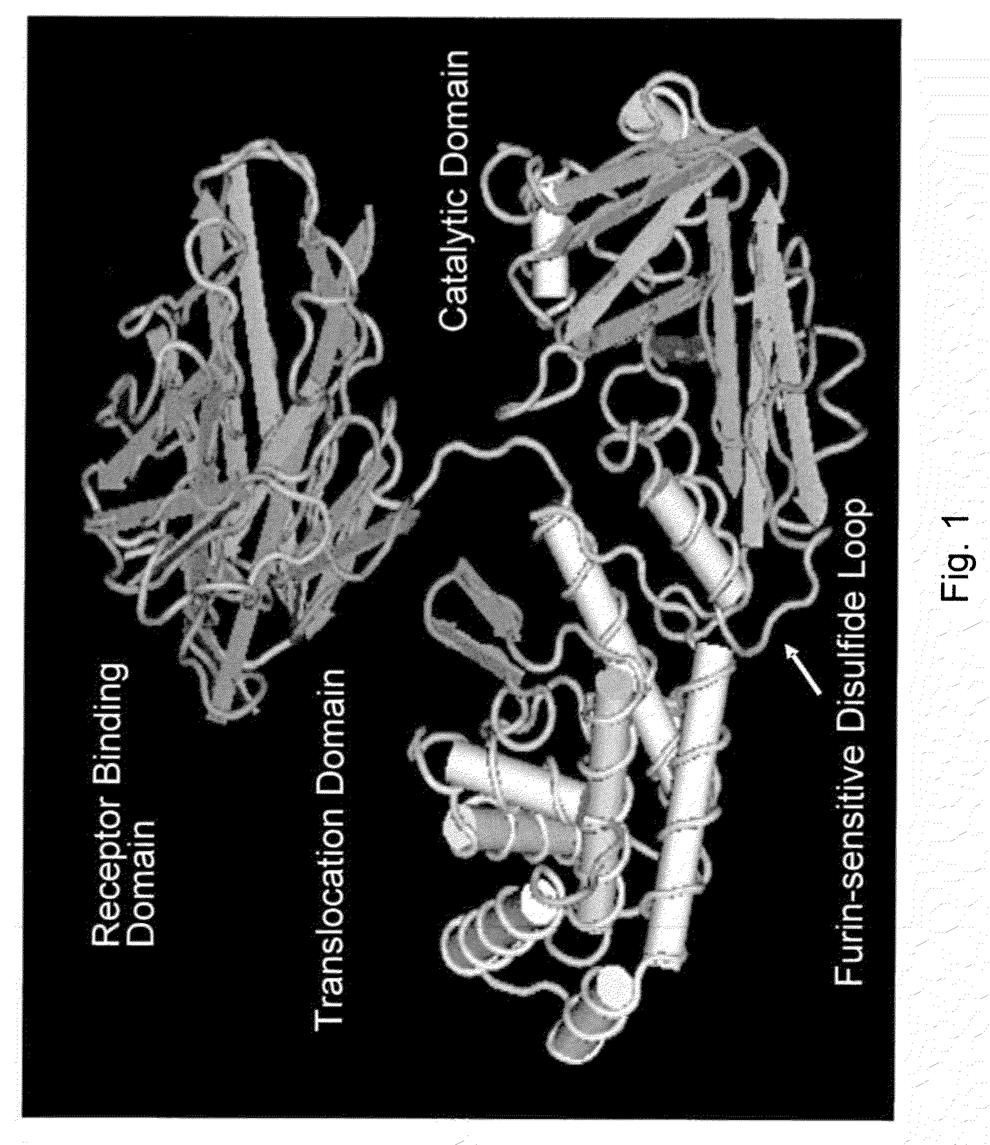 Methods and compositions based on diphtheria toxin-interleukin-3 conjugates