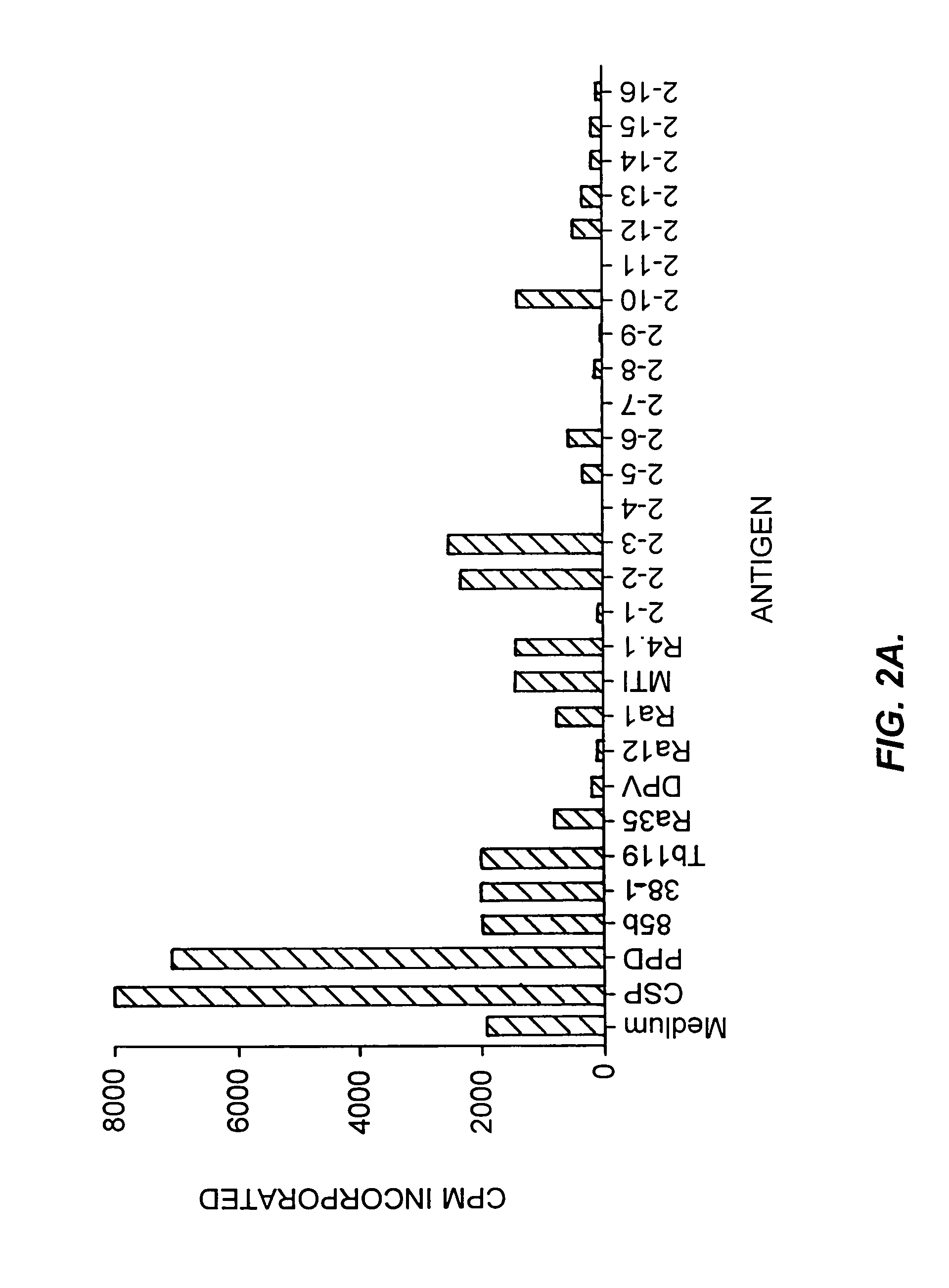 Compounds and methods for diagnosis and immunotherapy of tuberculosis