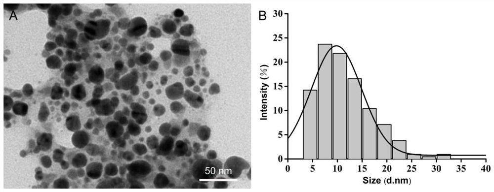 Method for preparing nano-silver based on red spinach extracting solution