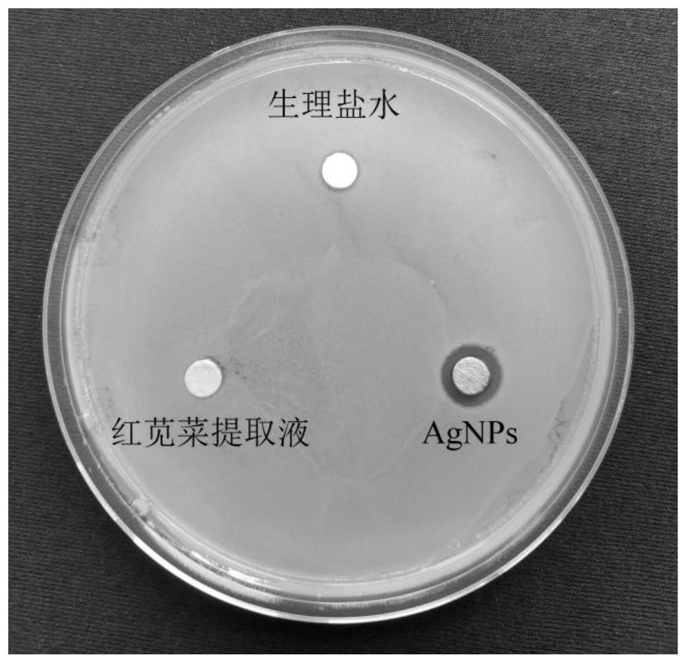 Method for preparing nano-silver based on red spinach extracting solution