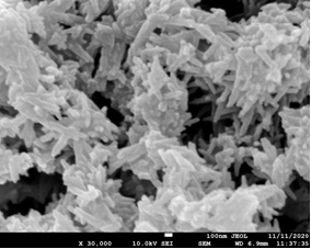 Rare earth ion doped nano calcium carbonate luminescent material with different morphologies and preparation method and application thereof