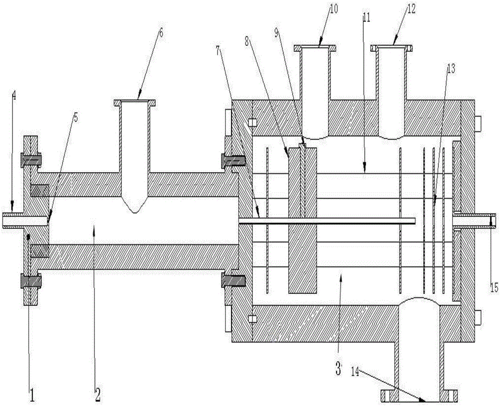 Capillary tube injection interface device for nanoparticle aerosol mass spectrometer