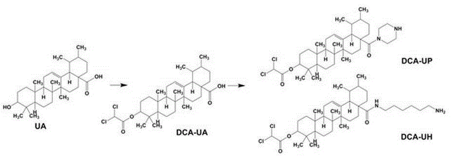Ursolic acid-glycolysis inhibitor DCA conjugate and application thereof