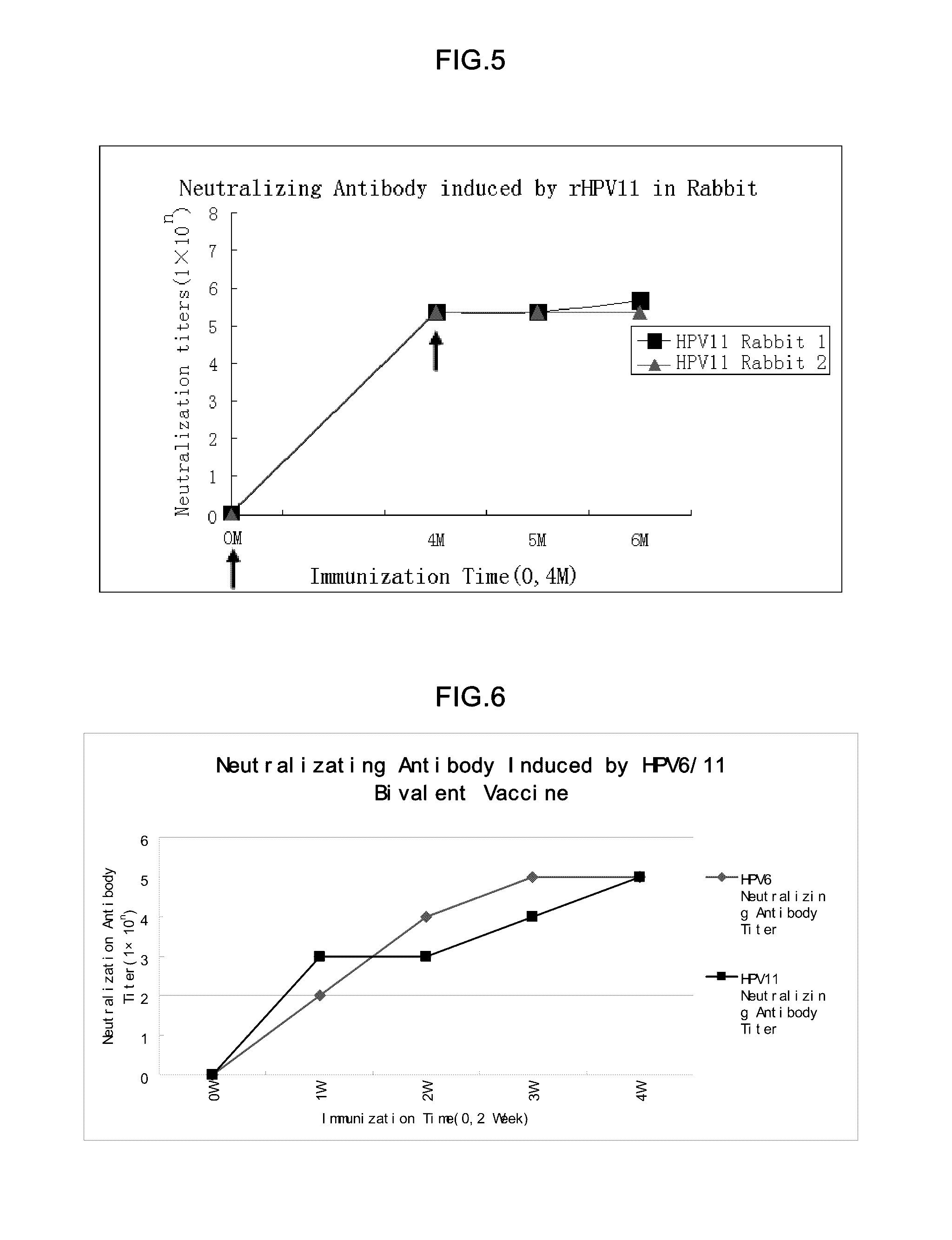 Truncated L1 protein of human papillomavirus type 11