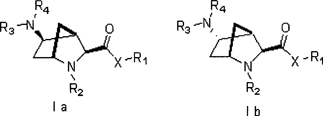 5-amino-2-azabicyclo [2.2.1] heptane-3-carboxyl acid derivatives, and preparation thereof