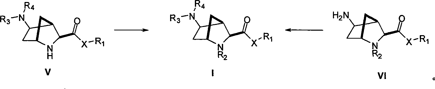 5-amino-2-azabicyclo [2.2.1] heptane-3-carboxyl acid derivatives, and preparation thereof