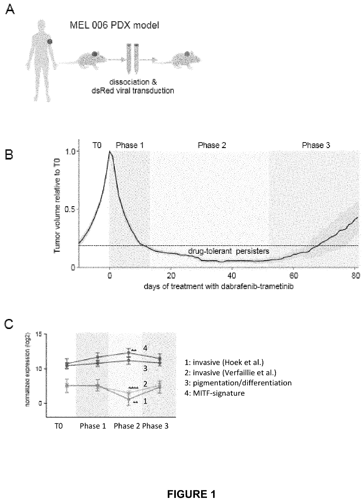 Targeting Minimal Residual Disease In Cancer With Cd36 Antagonists ...