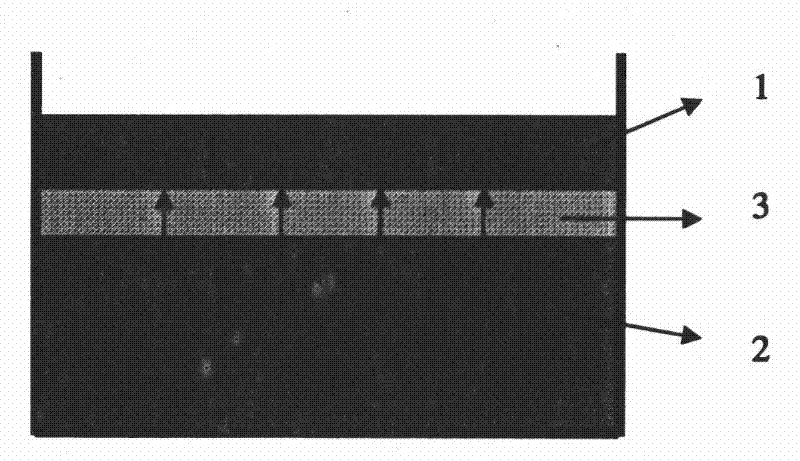 A method for purifying polysilicon by using a liquid filter