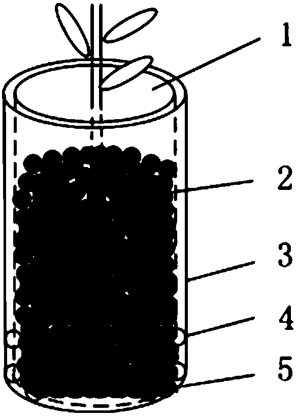 Eucommia ulmoides facility breeding, grafting and mechanical transplanting integrated planting method