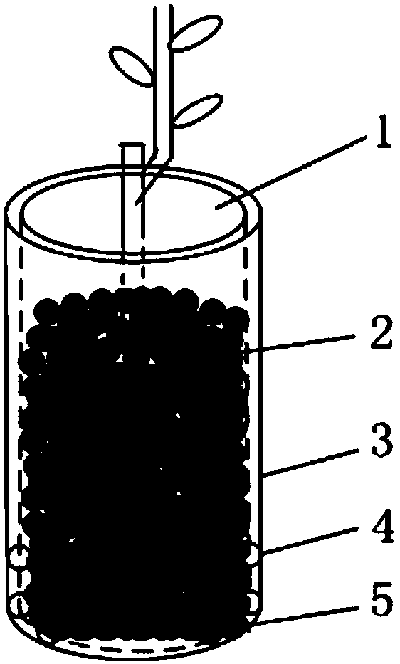 Eucommia ulmoides facility breeding, grafting and mechanical transplanting integrated planting method