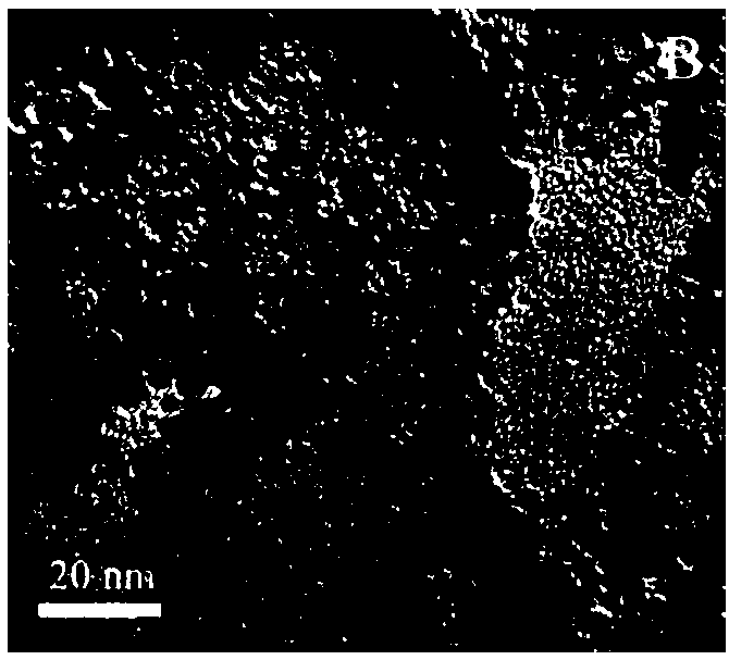 Ferroferric oxide/single-wall carbon nano-angle composite electrode material and preparation method thereof