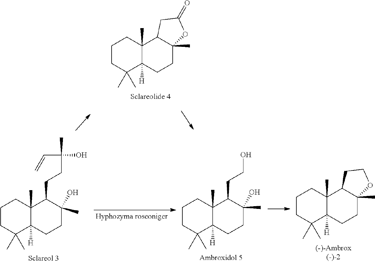 Enzymatic cyclization of homofarnesylic acid