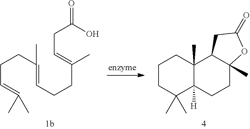 Enzymatic cyclization of homofarnesylic acid