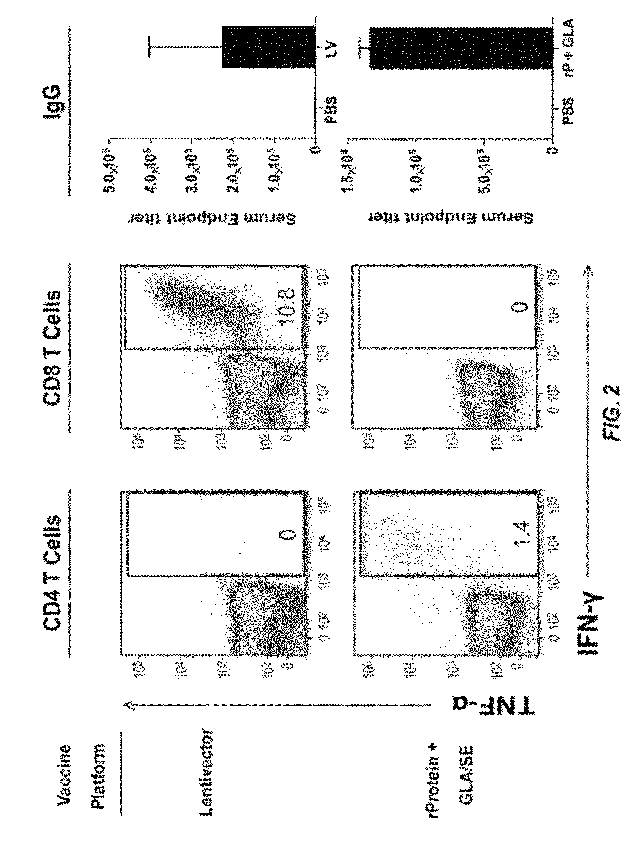 Immunogenic compositions and methods of using the compositions for inducing humoral and cellular immune responses