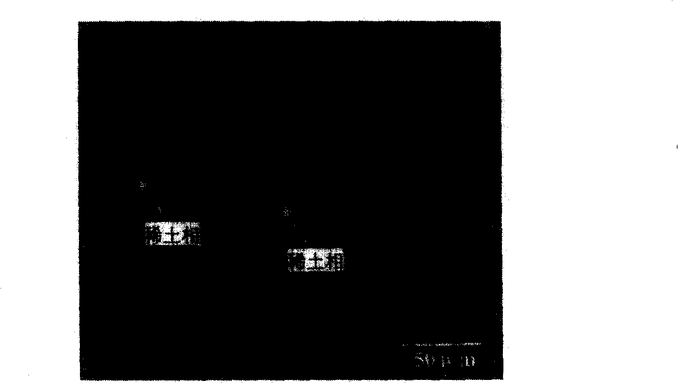 Alterant containing aluminum-magnesium alloy rare-earth phase, its production and use