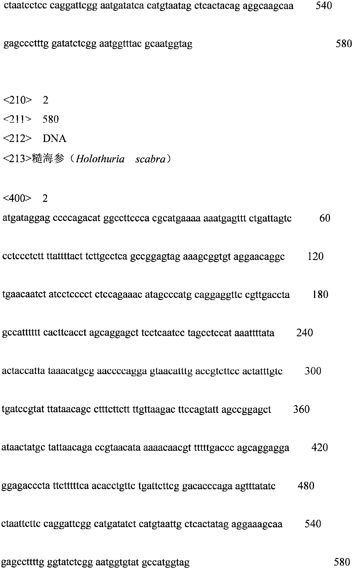 A method for rapid identification of ivory-participating sea cucumbers