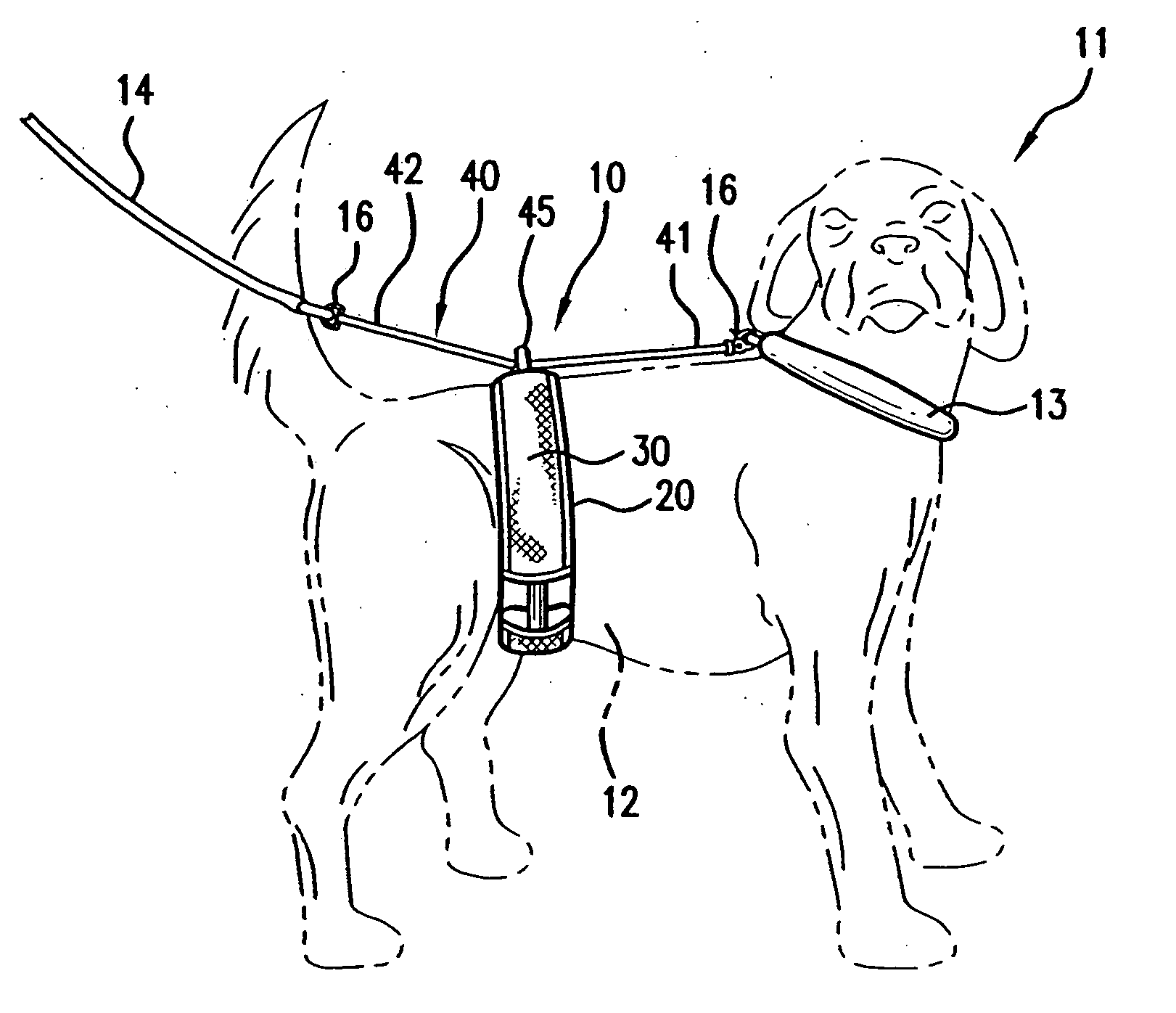 Animal restraining apparatus