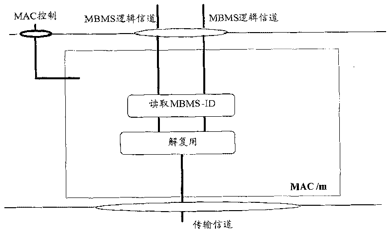 Multiplexing method for broadcast multicast service data and de-multiplexing method