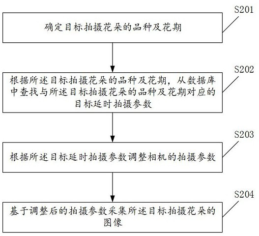 Shooting method, device, electronic device and storage medium of flower blooming process