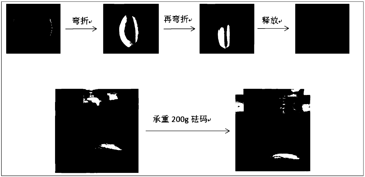 Sodium alginate/N-succinyl chitosan composite aerogel and preparation method and applications thereof