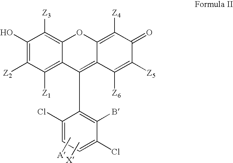 4,7-dichlorofluorescein dyes as molecular probes